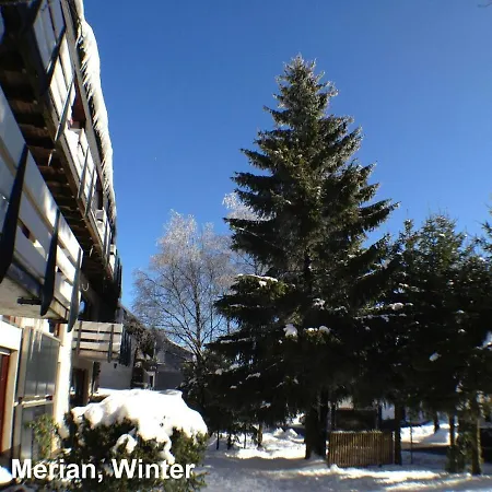 Appartement Haus Merian 5