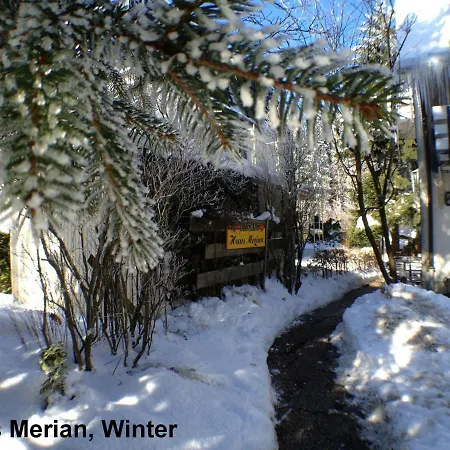 Haus Merian 5 Winterberg